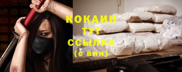 стаф Осинники