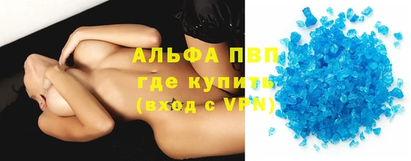 стаф Осинники
