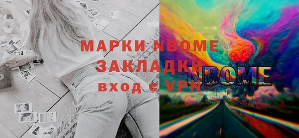 стаф Осинники