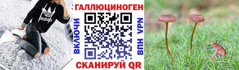 закладки Буйнакск сайты даркнета состав Галлюциногенные грибы мухоморы