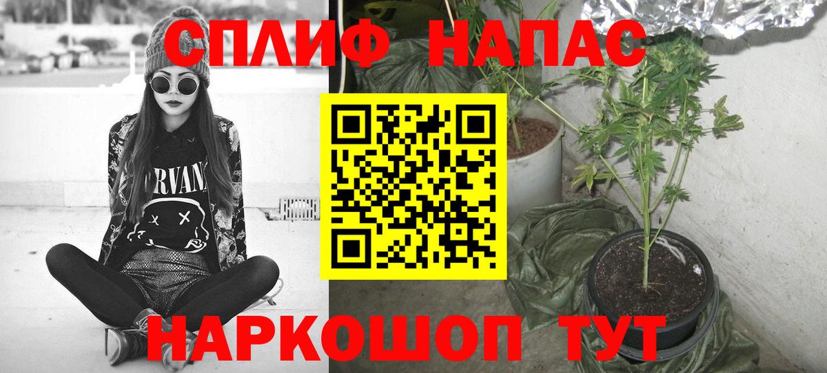 Бошки Шишки индика  МАРИХУАНА White Widow  Шишки марихуана план  Буйнакск 